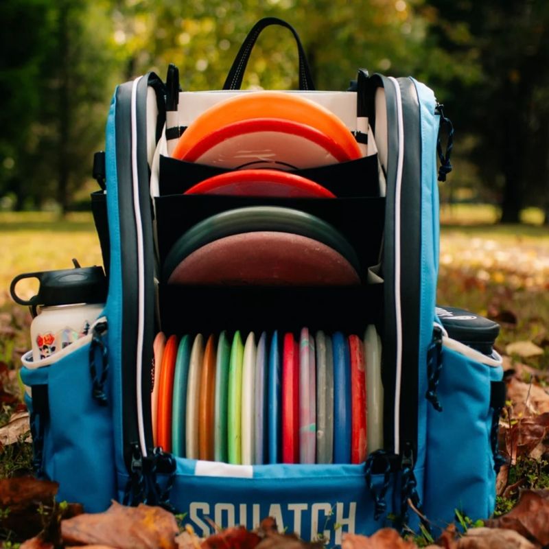 Link bag w/cooler