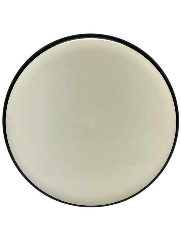 Neutron Spin (Blank)