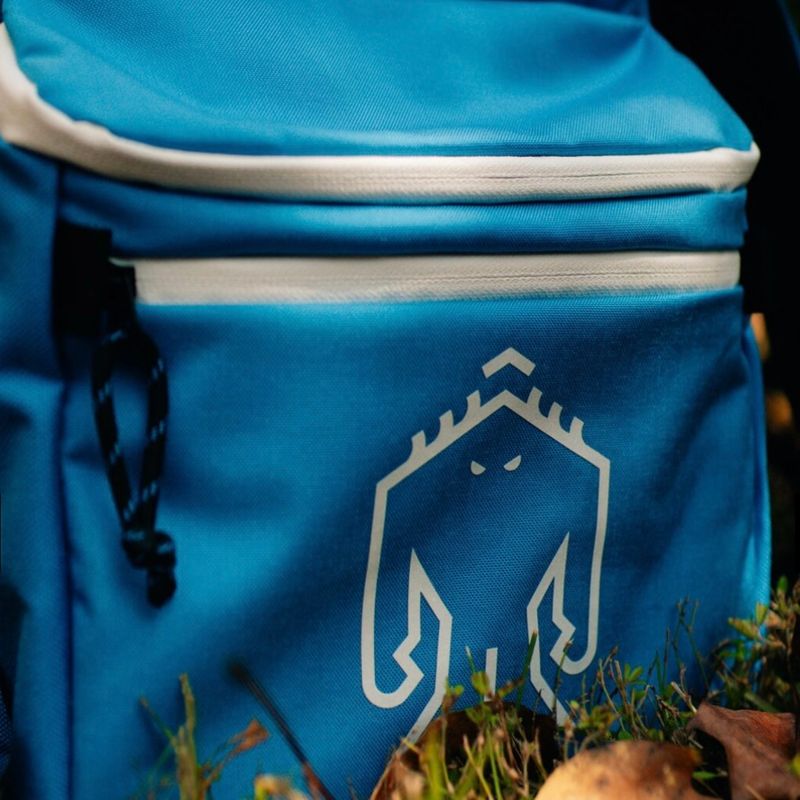 Link bag w/cooler