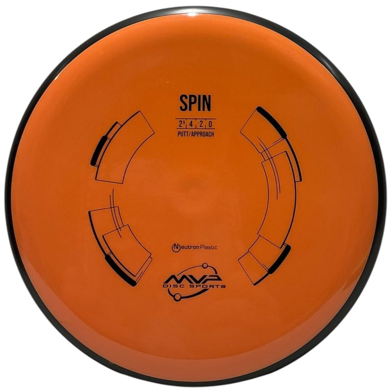 Neutron Spin