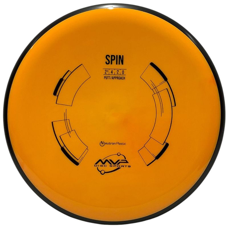 Neutron Spin