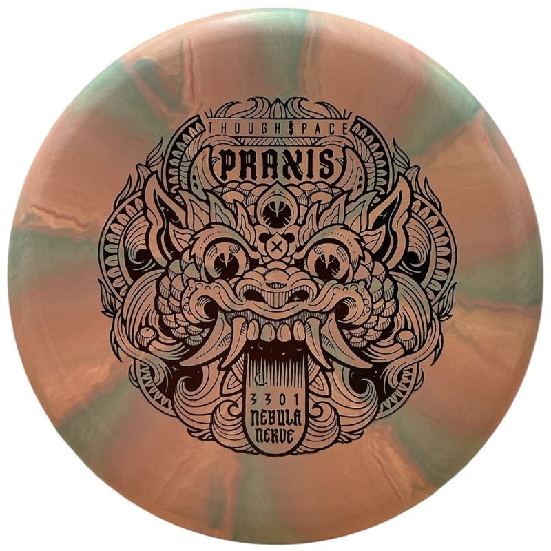 Nebula Nerve Firm Praxis
